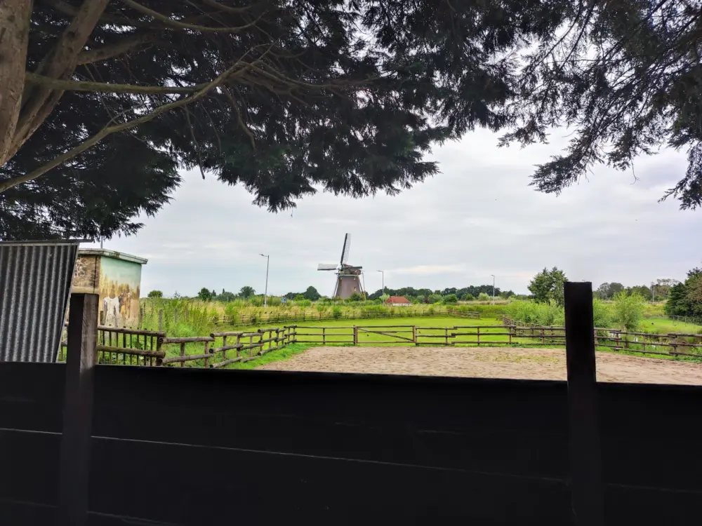 Bed & Breakfast Chalet aan de Rotte in Rotterdam