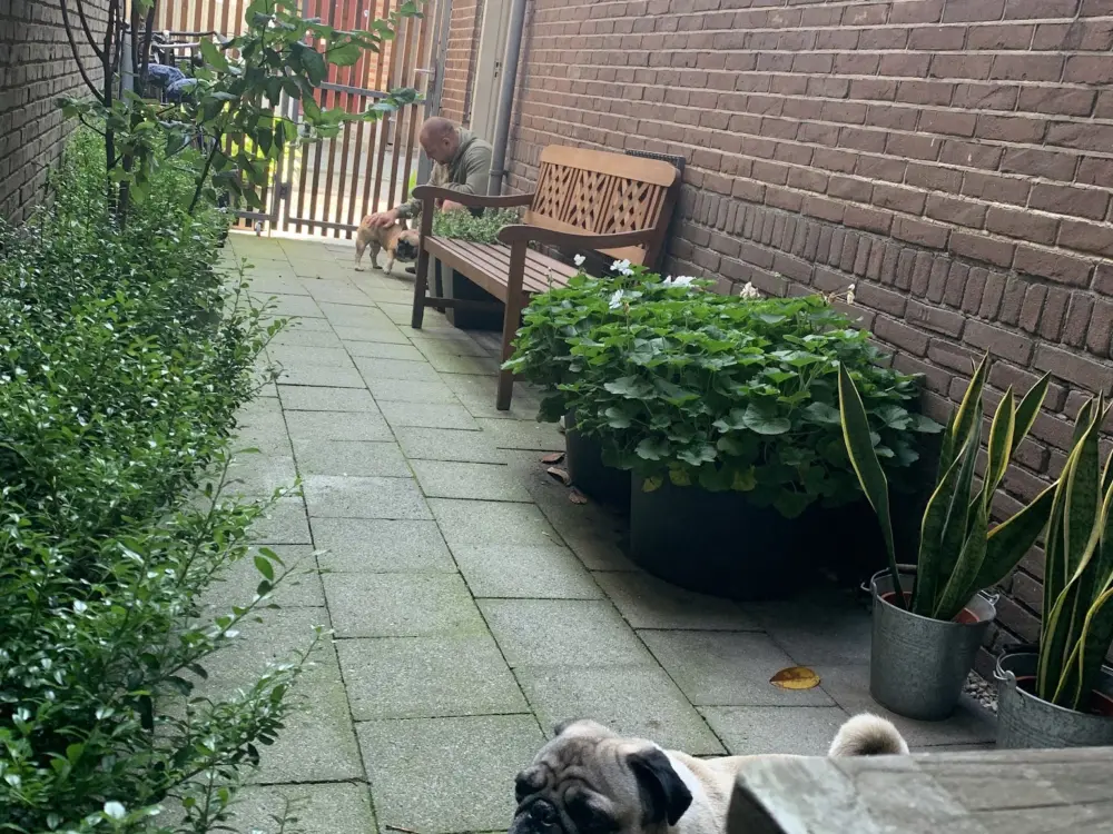 Darley's appartments in Hilversum