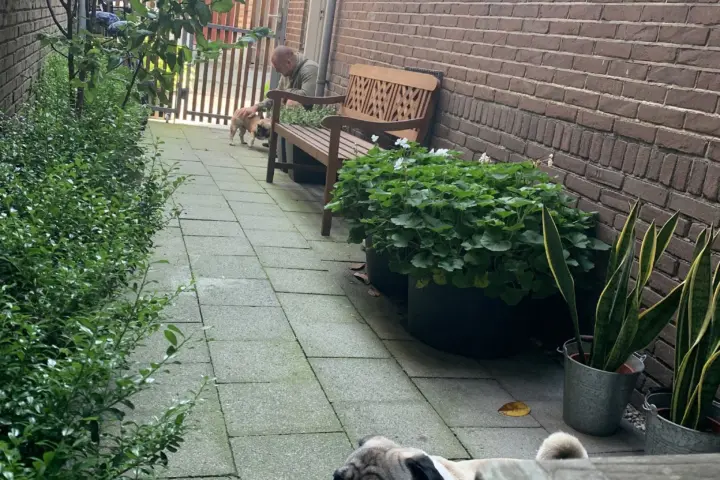 Accommodatie Darley’s appartments in Hilversum