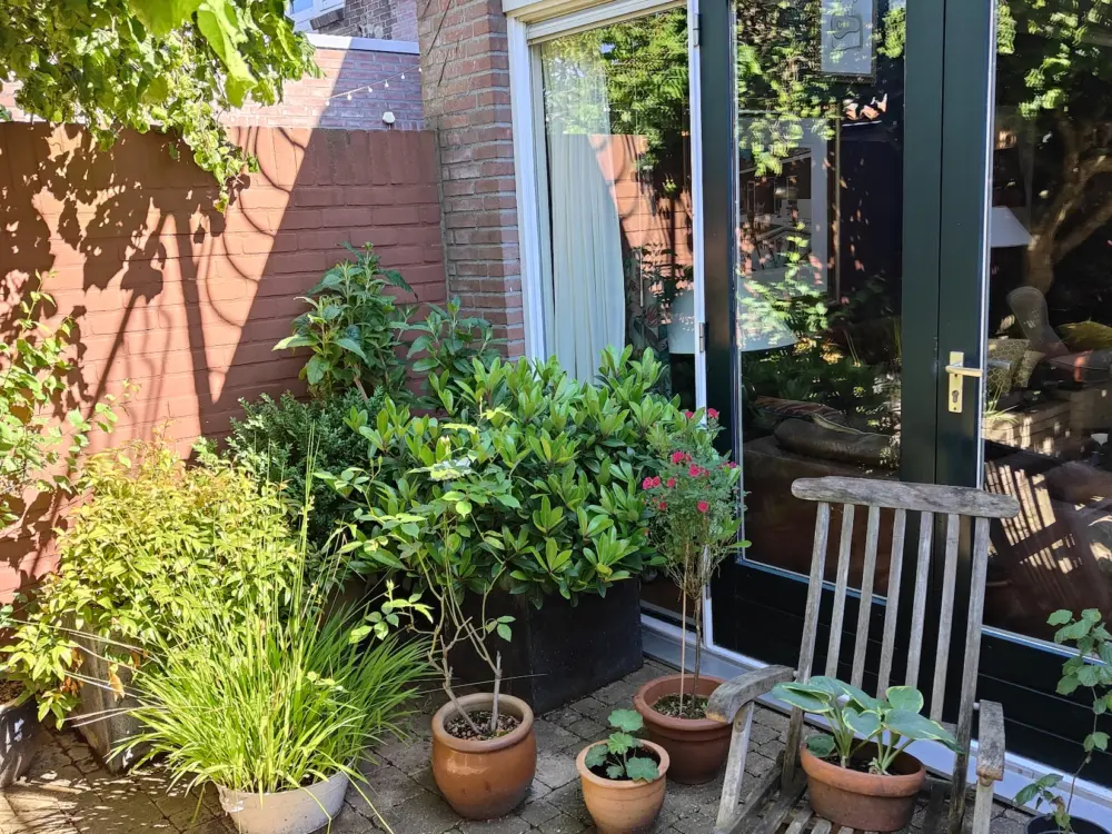 Accommodatie De Boei-Kunst in Eindhoven