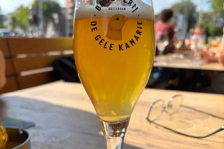 De Gele Kanarie - Goudsesingel in Rotterdam
