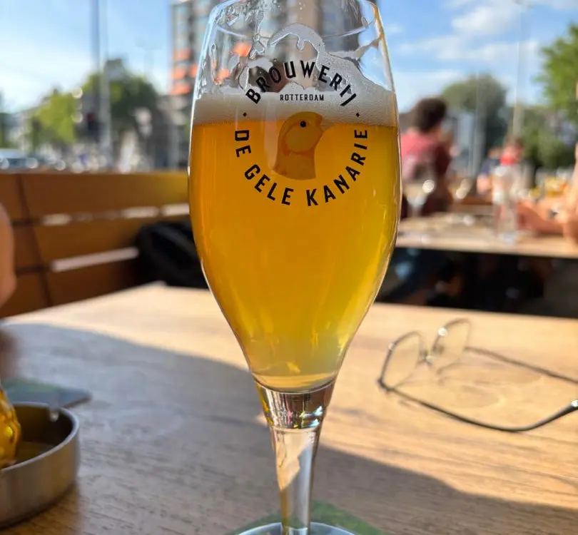 De Gele Kanarie - Goudsesingel in Rotterdam