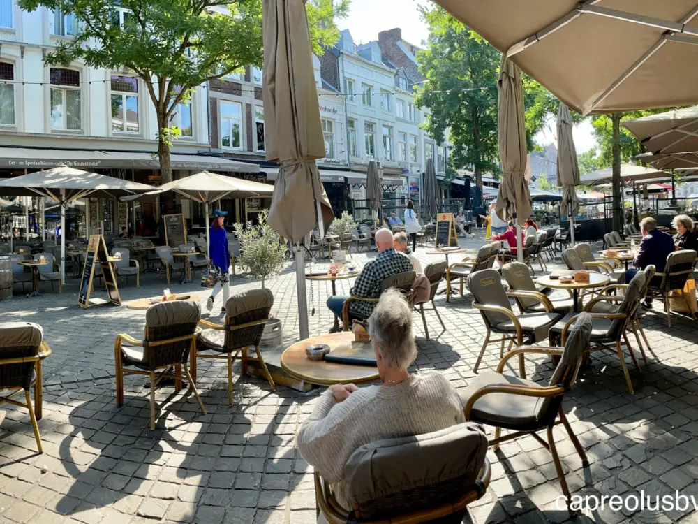Restaurant De Gouverneur in Maastricht