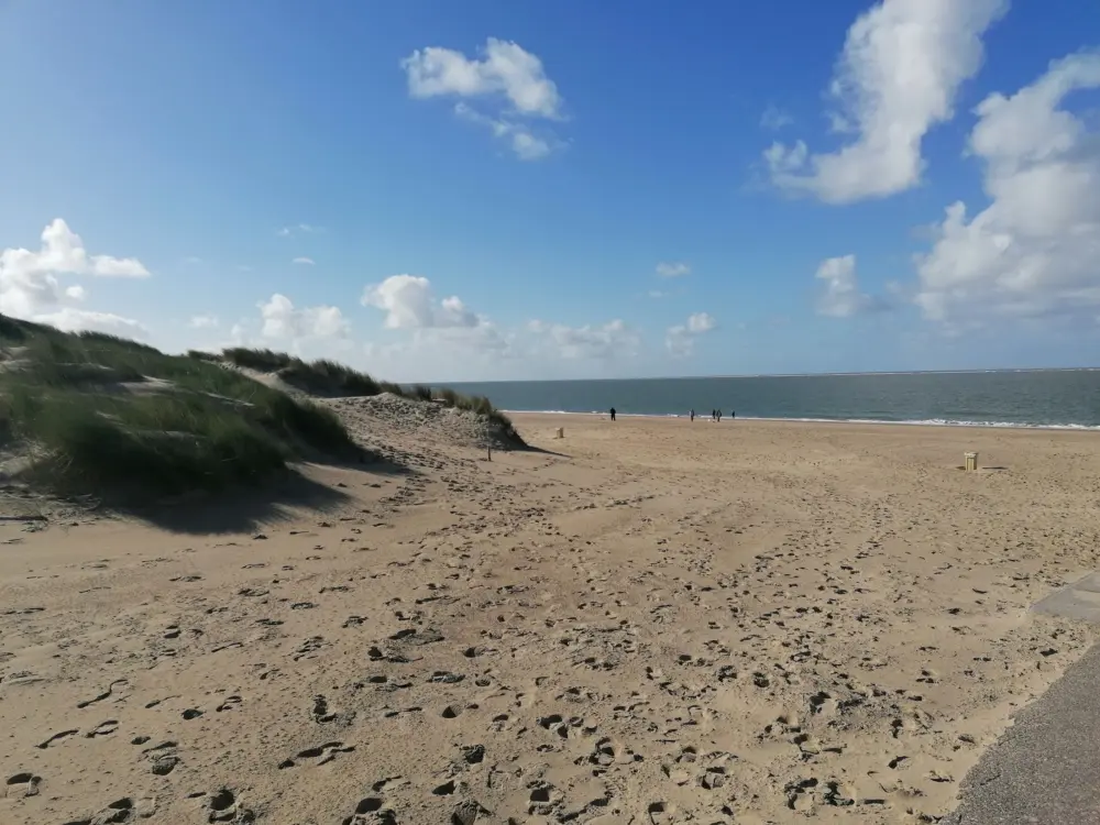 Accommodatie De Haerde in Ellemeet