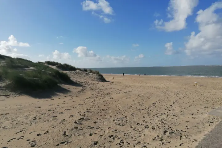 Accommodatie De Haerde in Ellemeet