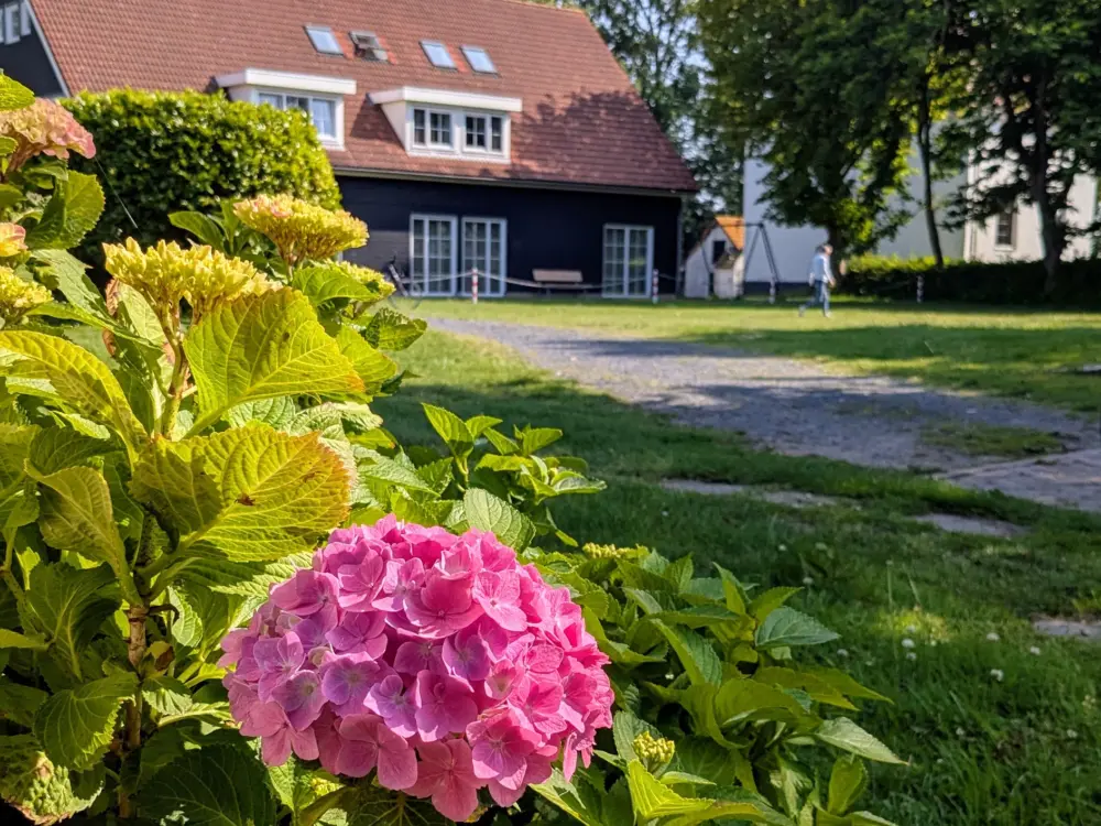 Accommodatie De Helle in Noordwelle