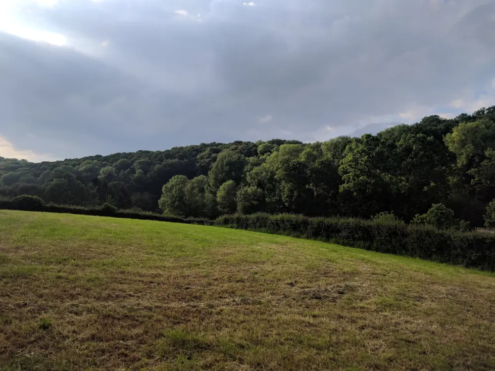 Accommodatie de moerbei in Sint Geertruid
