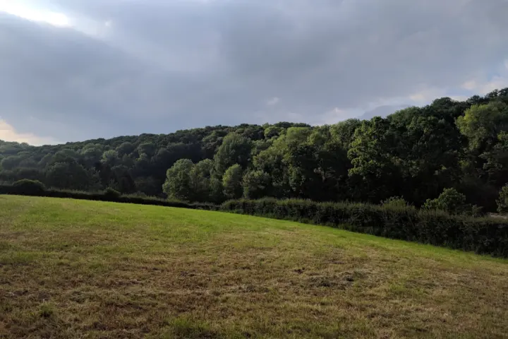 Accommodatie de moerbei in Sint Geertruid