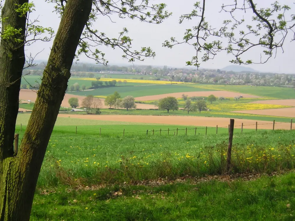 Accommodatie De Molenwei in Banholt