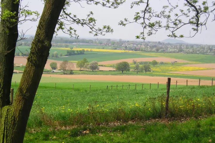 Accommodatie De Molenwei in Banholt