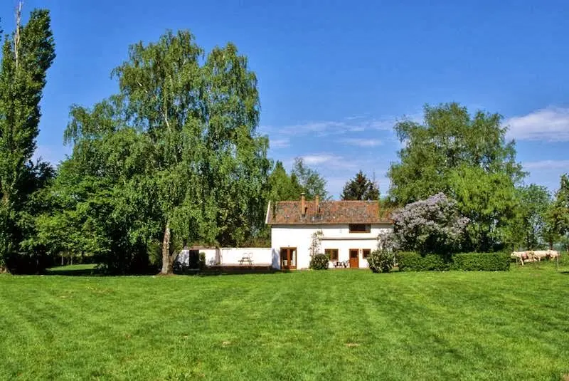 Accommodatie De Wijngaard in Wijlre