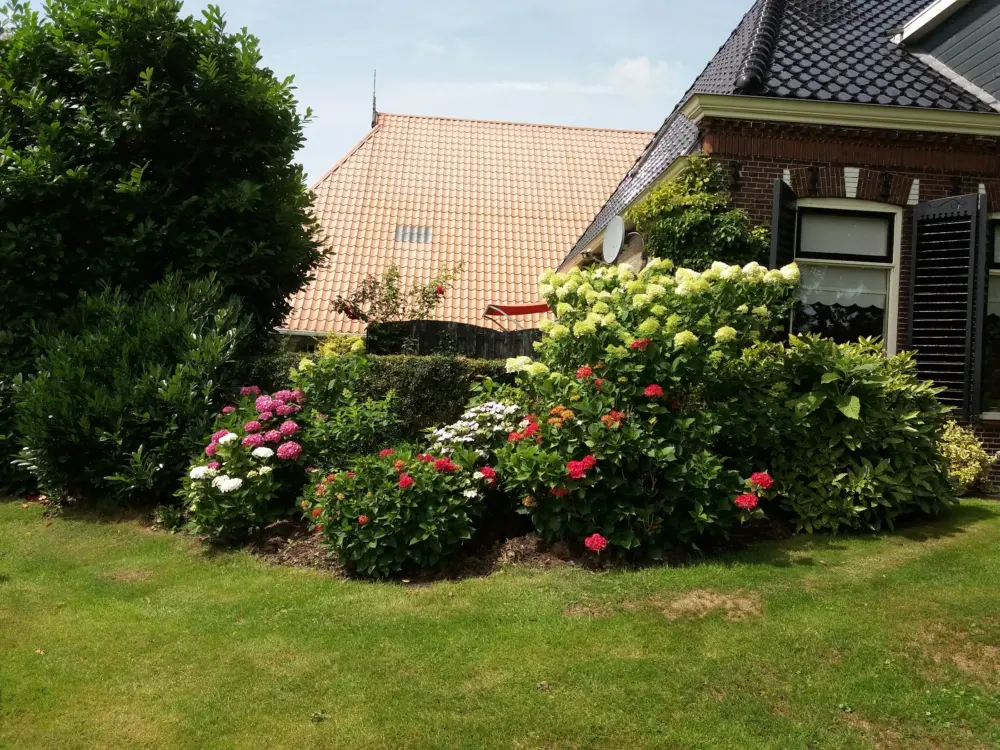 Bed & Breakfast de Wylgepleats in Jutrijp
