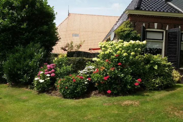 Bed & Breakfast de Wylgepleats in Jutrijp