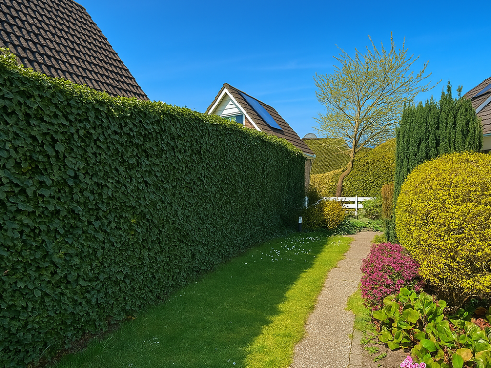 Accommodatie Deltageul26 in Ouddorp