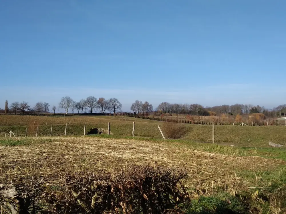 Accommodatie Dreeshof in Margraten