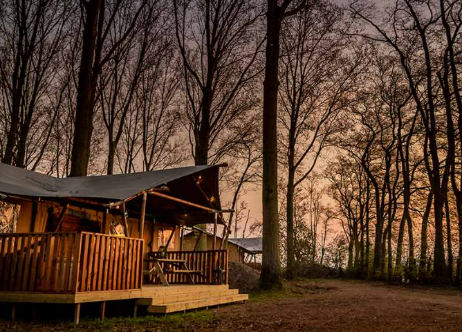 Hotel Ecolodges de Dreef in Renesse