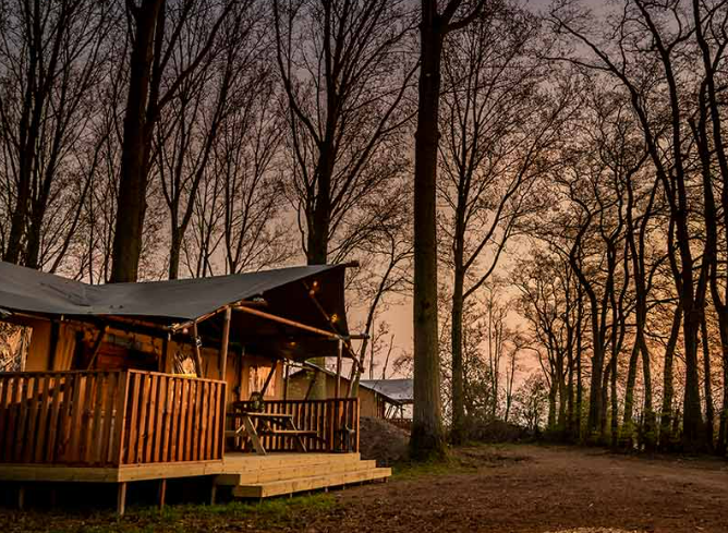 Hotel Ecolodges de Dreef in Renesse