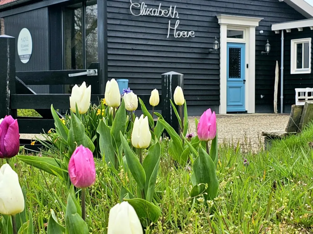 Bed & Breakfast Elisabed & Breakfast in Ouddorp