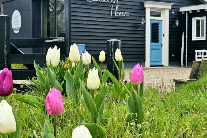 Bed & Breakfast Elisabed & Breakfast in Ouddorp