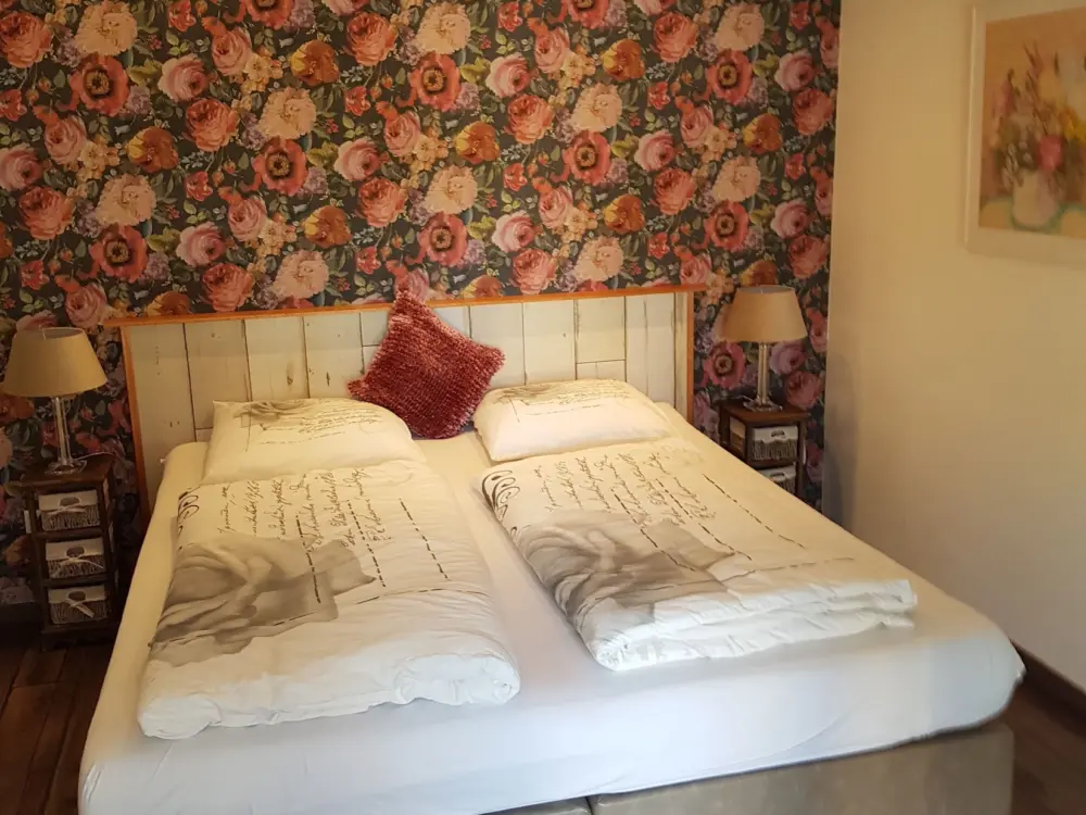 Bed & Breakfast Ferrum Ferrum in Valkenburg