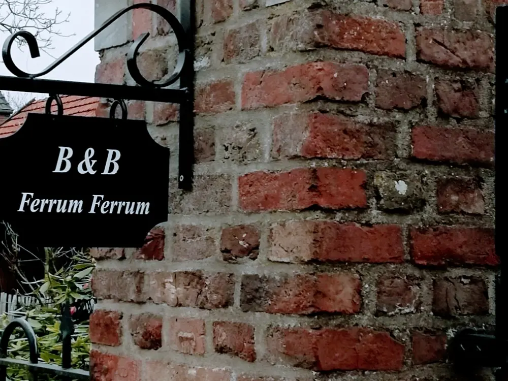 Bed & Breakfast Ferrum Ferrum in Valkenburg