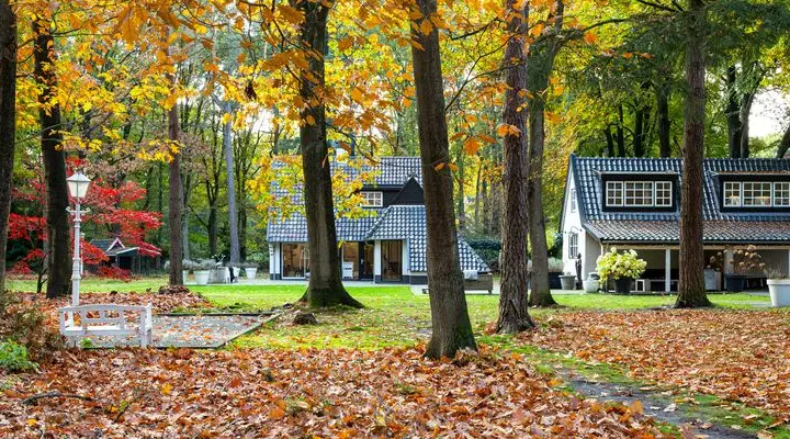 Bed & Breakfast Forest Inn meet & sleep in Ugchelen