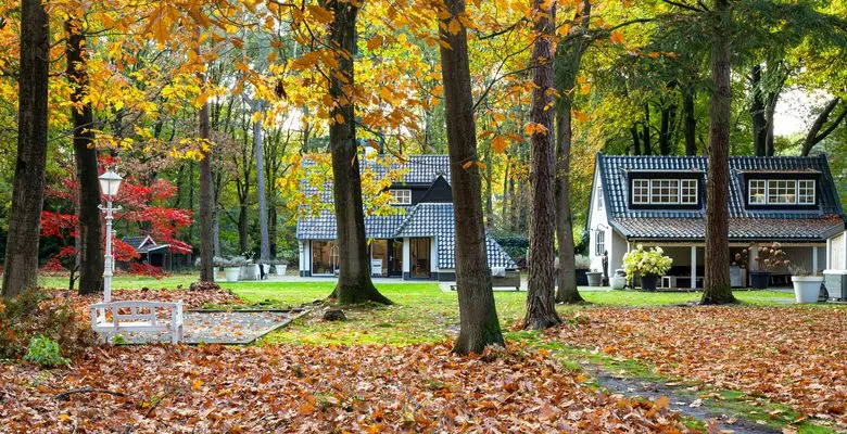 Bed & Breakfast Forest Inn meet & sleep in Ugchelen