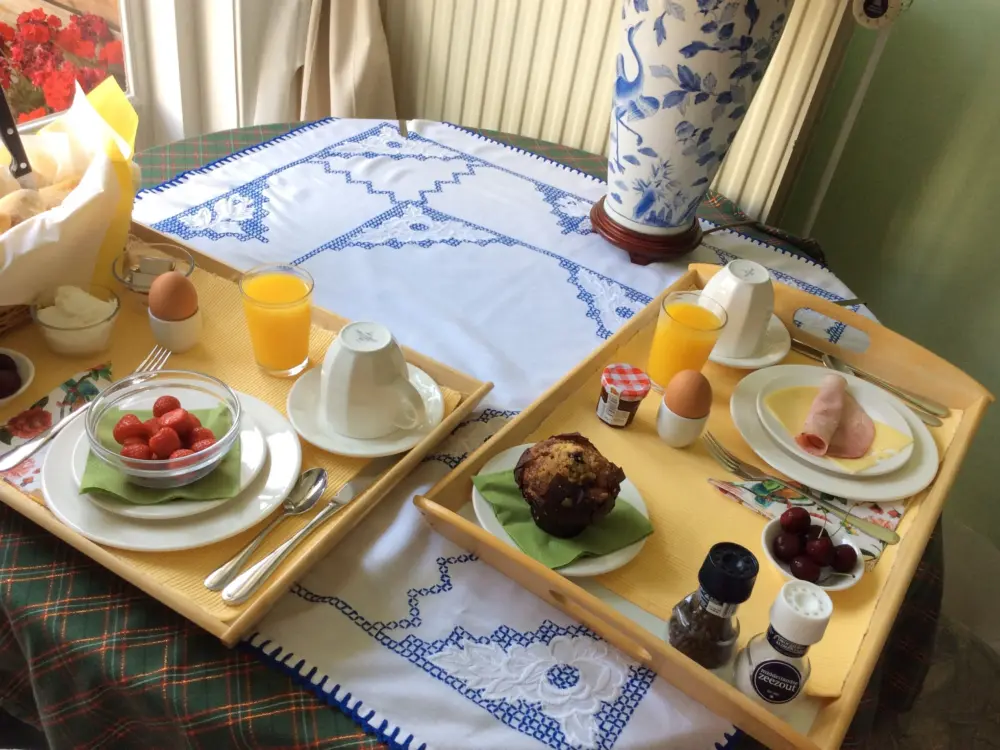 Bed & Breakfast Garden View Bed And Breakfast in Amsterdam