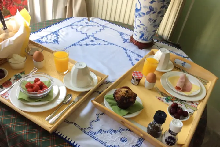 Bed & Breakfast Garden View Bed And Breakfast in Amsterdam