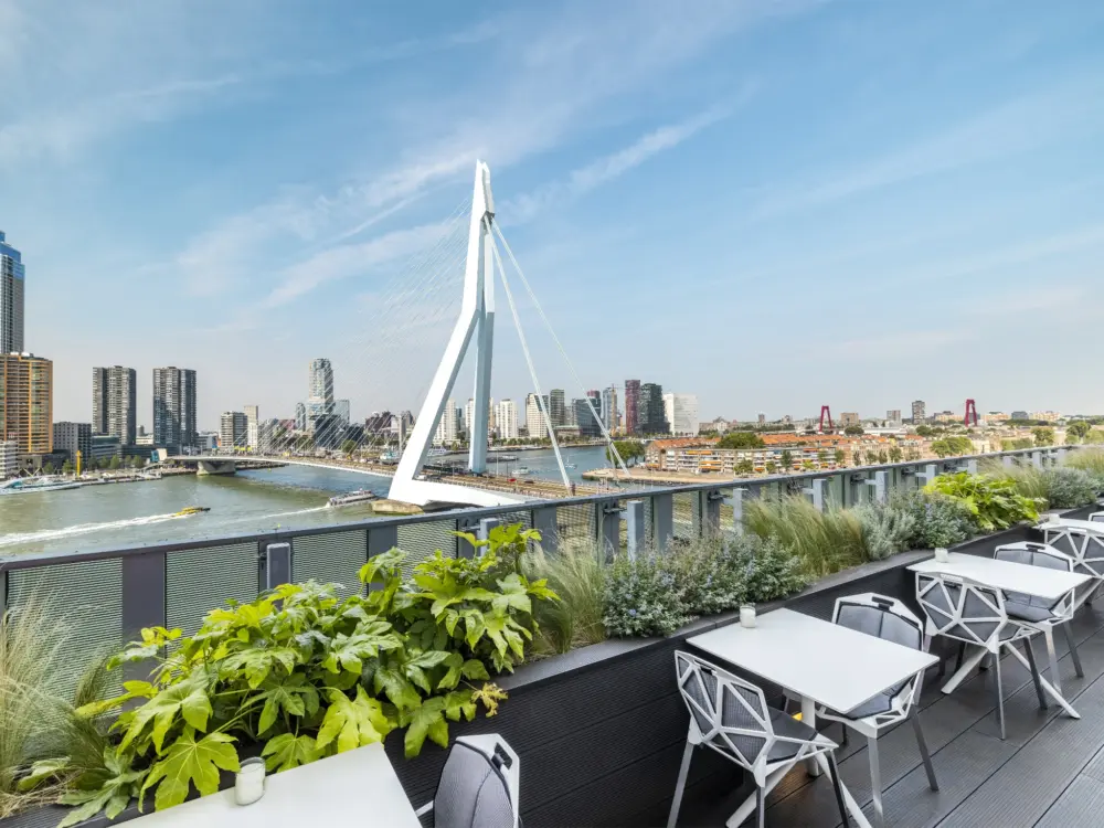 Gastrobar Elvy - nhow in Rotterdam