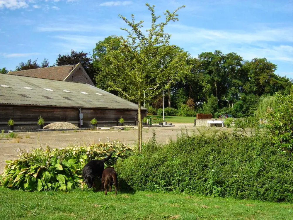 Groepsaccommodatie Hontemerhof B.V. in Margraten