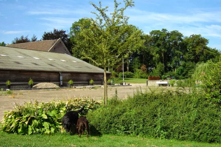 Groepsaccommodatie Hontemerhof B.V. in Margraten