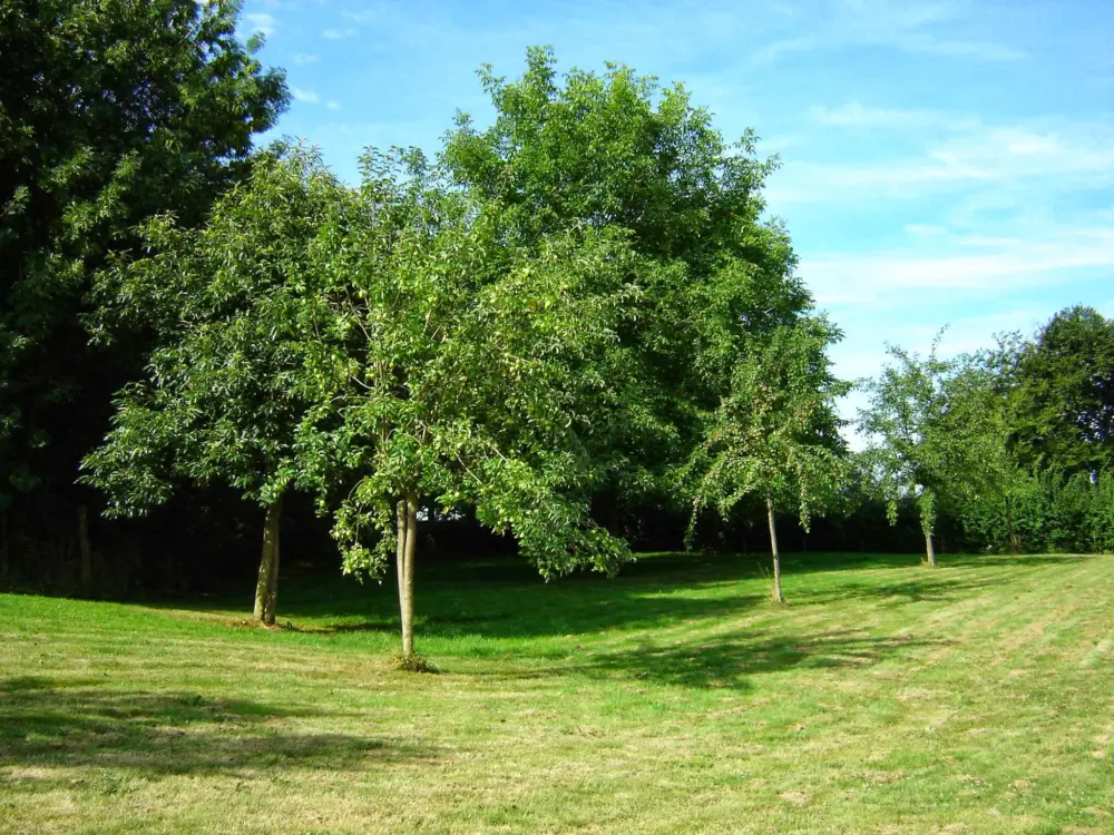 Groepsaccommodatie Hontemerhof B.V. in Margraten
