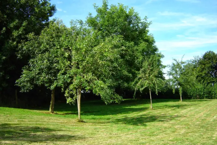 Groepsaccommodatie Hontemerhof B.V. in Margraten