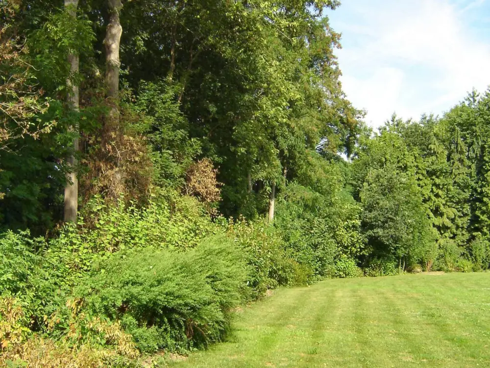 Groepsaccommodatie Hontemerhof B.V. in Margraten