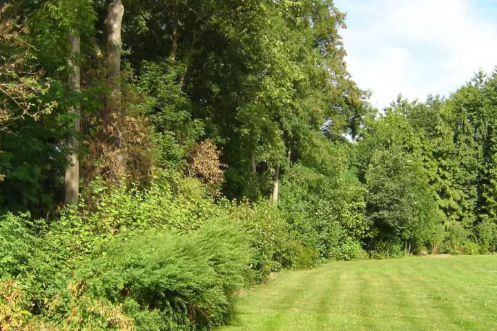 Groepsaccommodatie Hontemerhof B.V. in Margraten