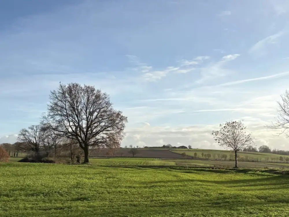 Bed & Breakfast Guesthouse Bruisdael in Sint Geertruid