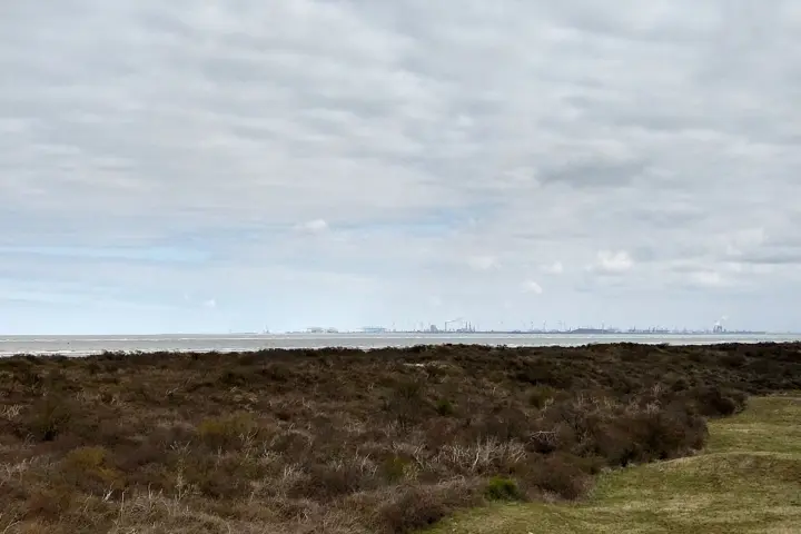 Accommodatie Het Duinhuisje in Goedereede