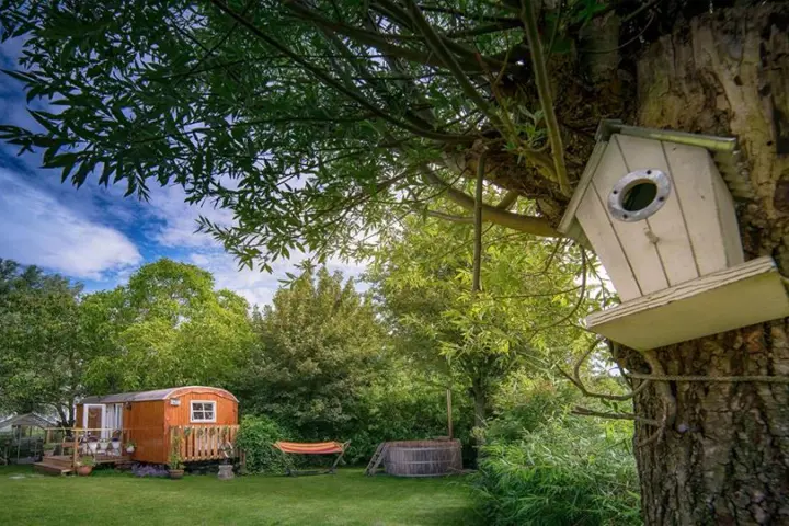 Bed & Breakfast hetvrijdagsgevoel in Offingawier