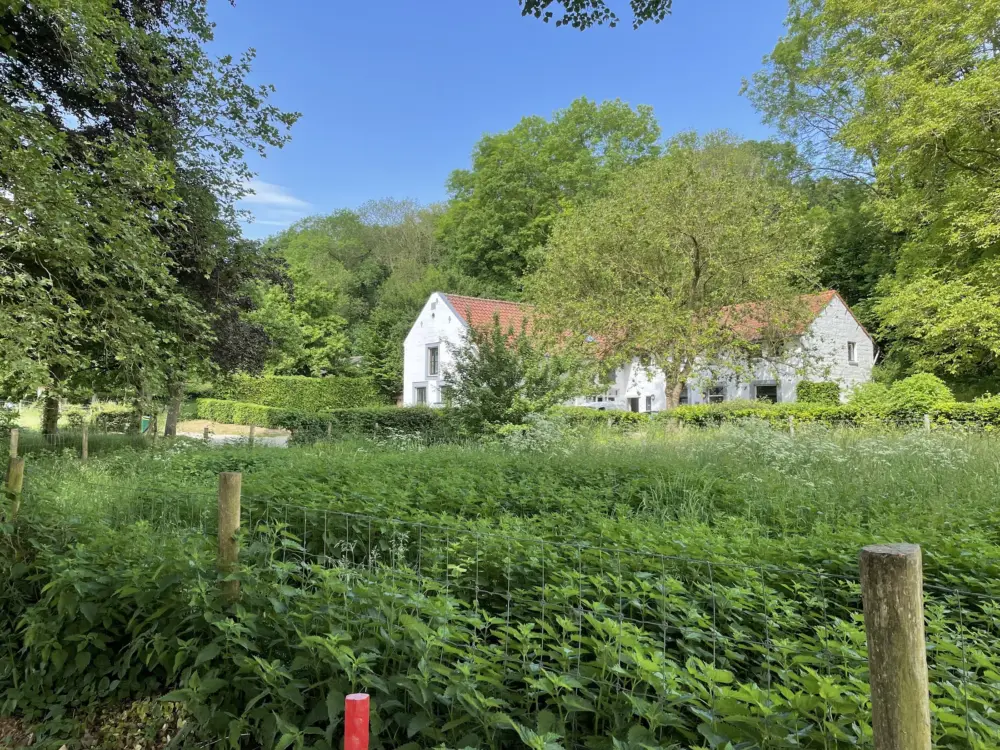 Accommodatie Hoeve Gerendal in Schin op Geul