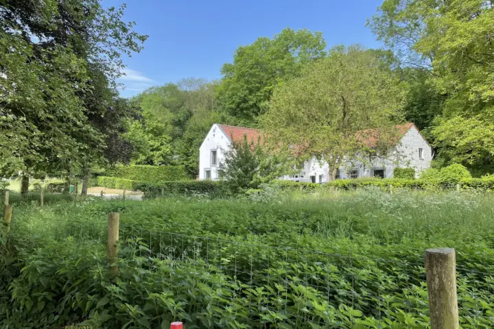 Accommodatie Hoeve Gerendal in Schin op Geul
