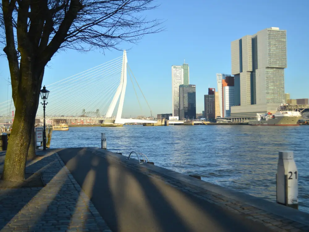 Herberg Hostel ROOM Rotterdam in Rotterdam
