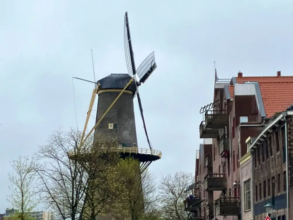 Hotel-café The Windmill in Schiedam