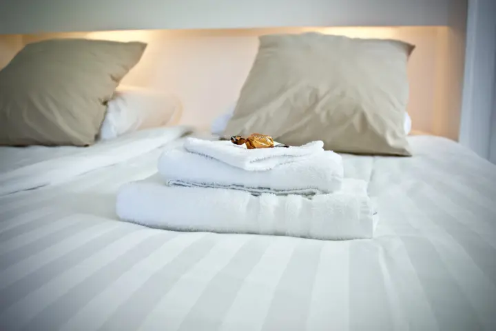 Hotel Salden – B&B – Restaurant / Brasserie in Schin op Geul