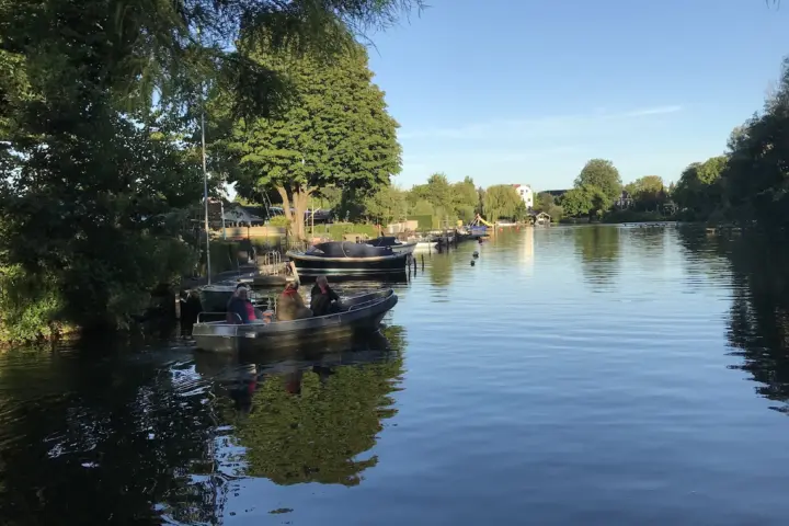 Accommodatie Island Cabin in Rotterdam