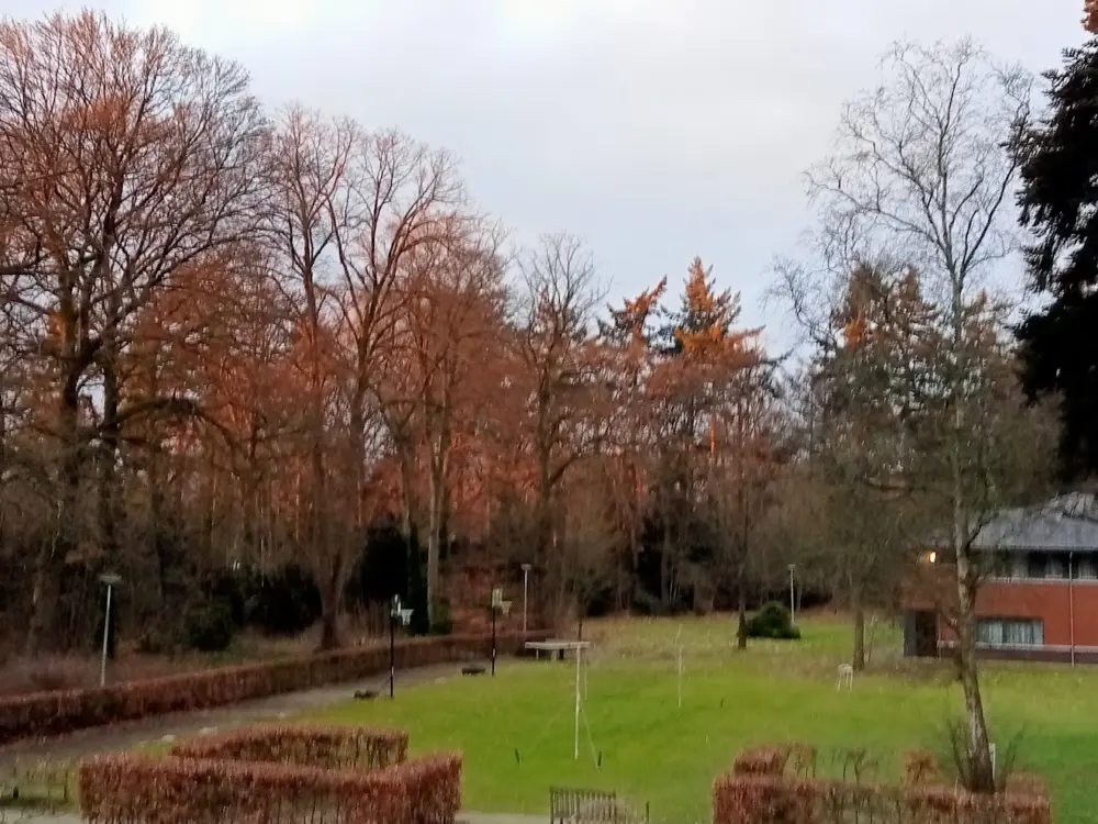 Accommodatie Julianaoord in Laren