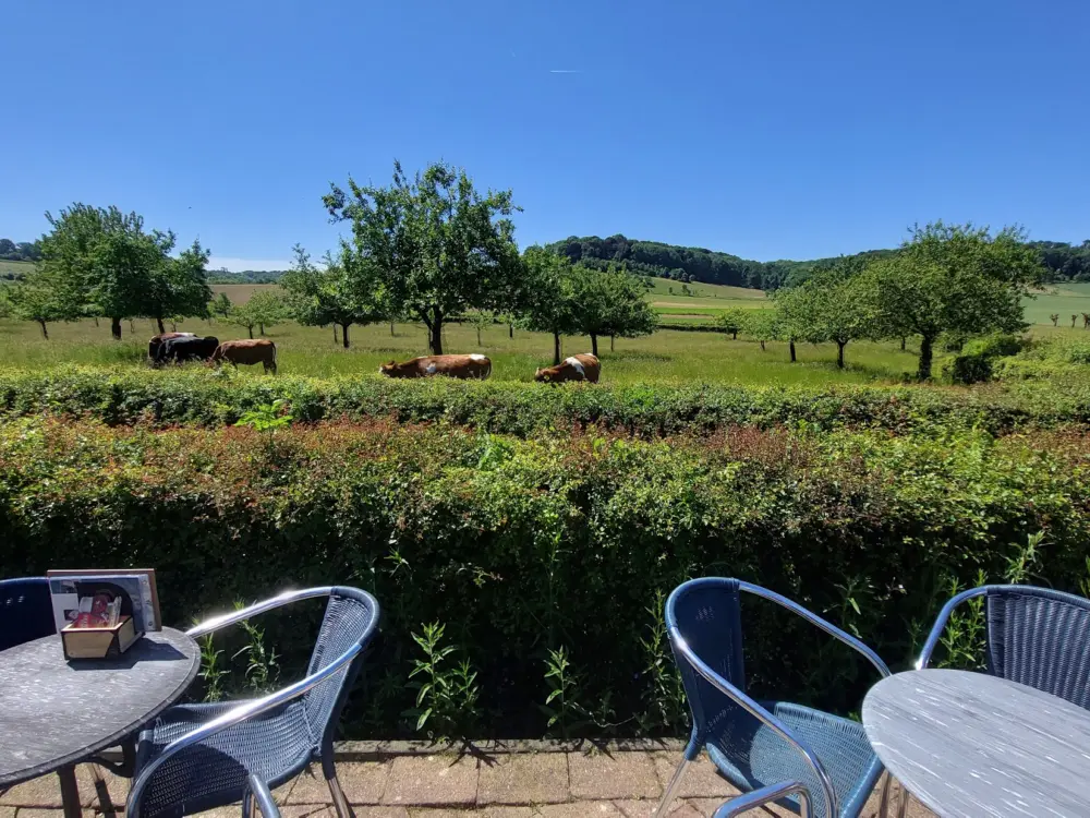 Restaurant Koffiebar Het Gerendal in Schin op Geul