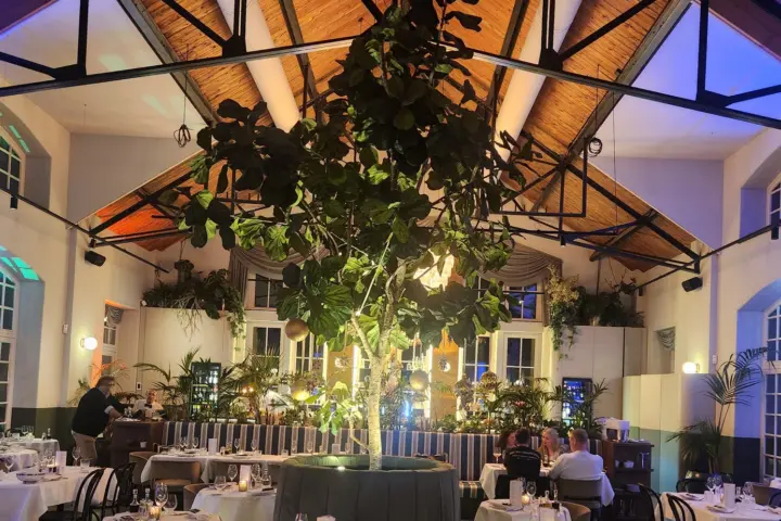 Restaurant La Contessa, Ristorante Italiano & Gelateria in Amsterdam