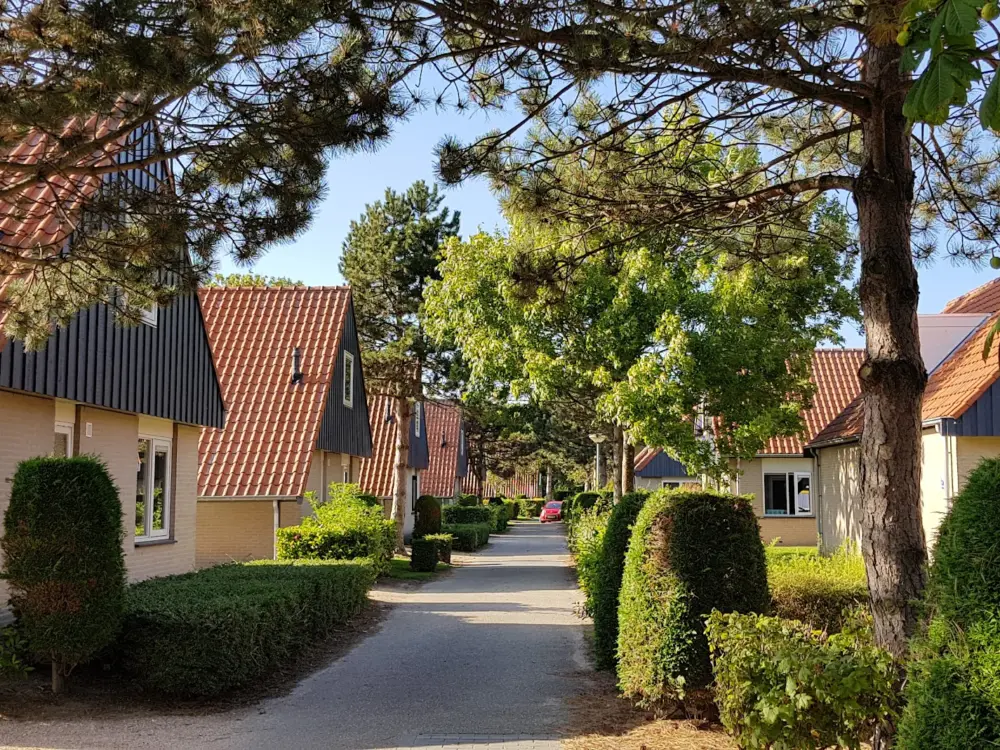 Accommodatie Landal Buitenheem in Renesse