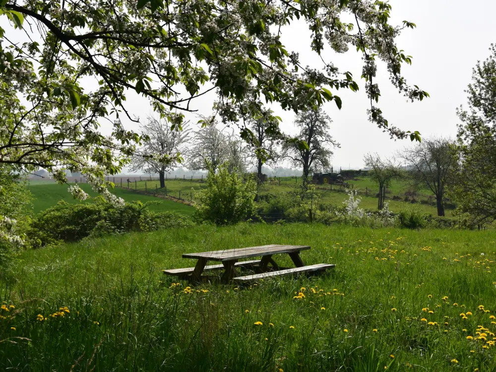 Le Freinage - Vakantiewoning in Eckelrade